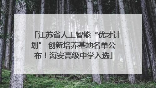 江苏省人工智能“优才计划” 创新培养基地名单公布！海安高级中学入选