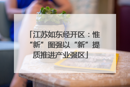 江苏如东经开区：惟“新”图强以“新”提质推进产业强区