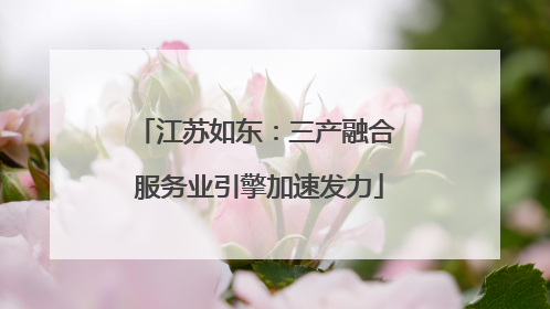 江苏如东：三产融合 服务业引擎加速发力