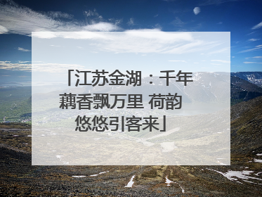 江苏金湖：千年藕香飘万里 荷韵悠悠引客来
