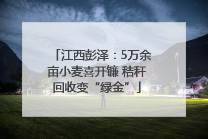 江西彭泽：5万余亩小麦喜开镰 秸秆回收变“绿金”