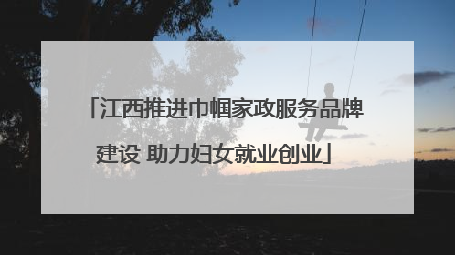 江西推进巾帼家政服务品牌建设 助力妇女就业创业