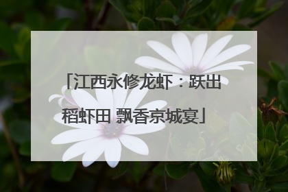 江西永修龙虾：跃出稻虾田 飘香京城宴