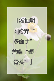 汤恒明：跨界“多面手”善啃“硬骨头”