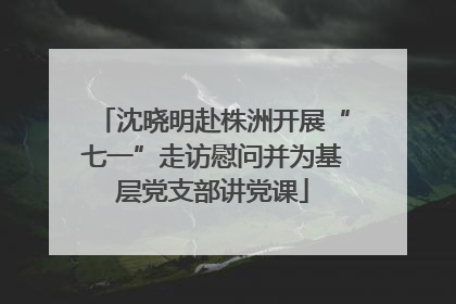 沈晓明赴株洲开展“七一”走访慰问并为基层党支部讲党课
