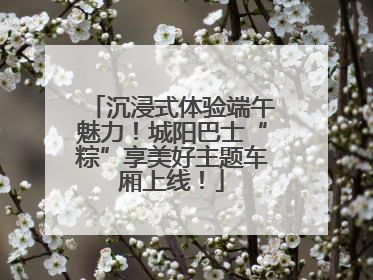 沉浸式体验端午魅力！城阳巴士“粽”享美好主题车厢上线！
