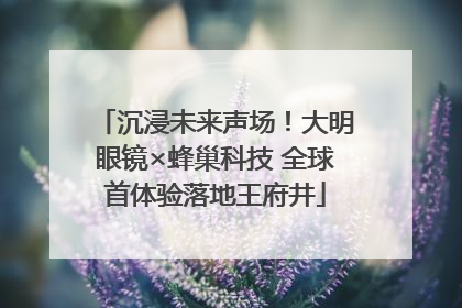 沉浸未来声场！大明眼镜×蜂巢科技 全球首体验落地王府井