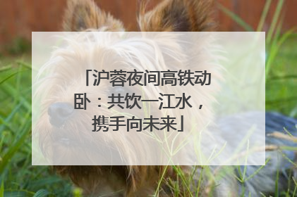 沪蓉夜间高铁动卧：共饮一江水，携手向未来