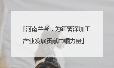 河南兰考：为红薯深加工产业发展贡献巾帼力量