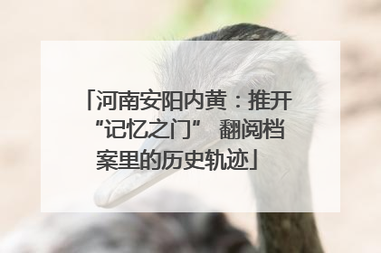 河南安阳内黄：推开“记忆之门” 翻阅档案里的历史轨迹