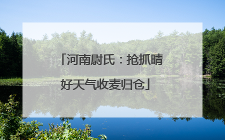 河南尉氏：抢抓晴好天气收麦归仓