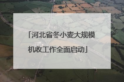 河北省冬小麦大规模机收工作全面启动