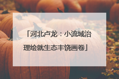 河北卢龙：小流域治理绘就生态丰饶画卷