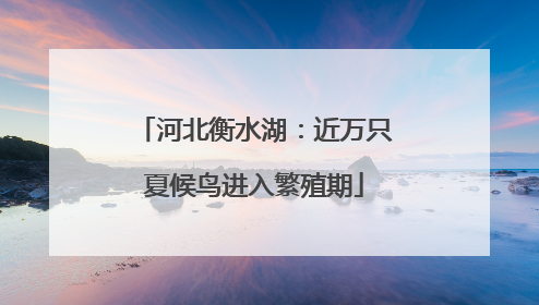 河北衡水湖：近万只夏候鸟进入繁殖期