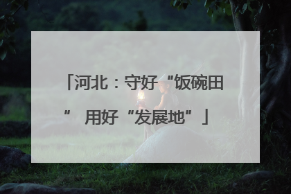 河北：守好“饭碗田” 用好“发展地”