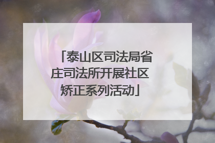 泰山区司法局省庄司法所开展社区矫正系列活动