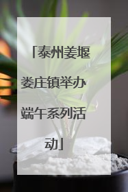 泰州姜堰娄庄镇举办端午系列活动