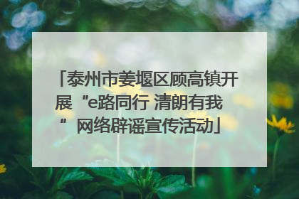 泰州市姜堰区顾高镇开展“e路同行 清朗有我”网络辟谣宣传活动