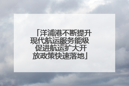洋浦港不断提升现代航运服务能级 促进航运扩大开放政策快速落地