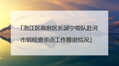 洛江区政府区长郭宁带队赴河市镇检查重点工作推进情况