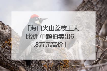海口火山荔枝王大比拼 单颗拍卖出6.8万元高价