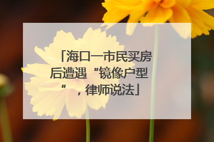 海口一市民买房后遭遇“镜像户型”，律师说法