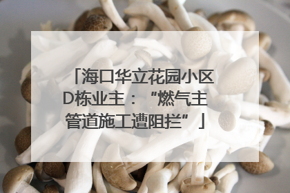 海口华立花园小区D栋业主：“燃气主管道施工遭阻拦”