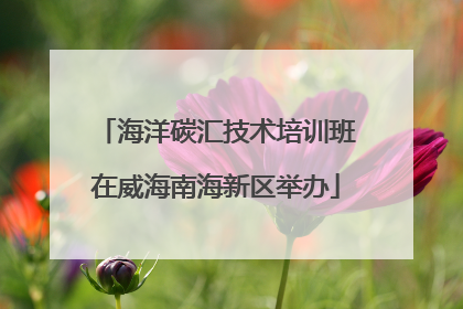 海洋碳汇技术培训班在威海南海新区举办