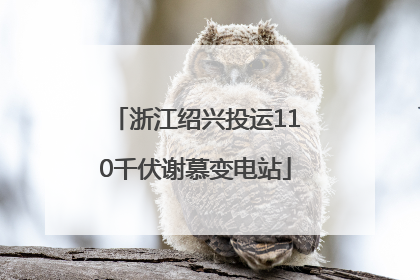 浙江绍兴投运110千伏谢慕变电站