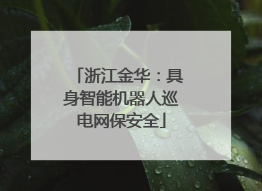 浙江金华：具身智能机器人巡电网保安全
