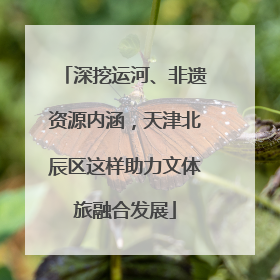 深挖运河、非遗资源内涵，天津北辰区这样助力文体旅融合发展