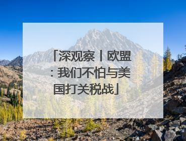 深观察丨欧盟：我们不怕与美国打关税战