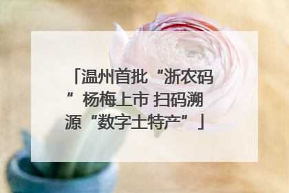 温州首批“浙农码”杨梅上市 扫码溯源“数字土特产”