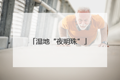 湿地“夜明珠”