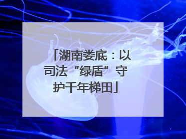 湖南娄底：以司法“绿盾”守护千年梯田
