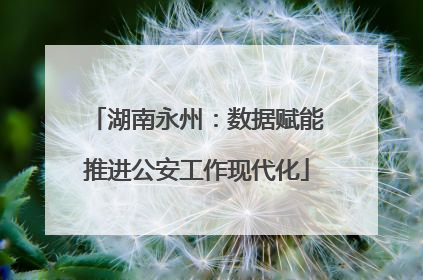 湖南永州：数据赋能推进公安工作现代化