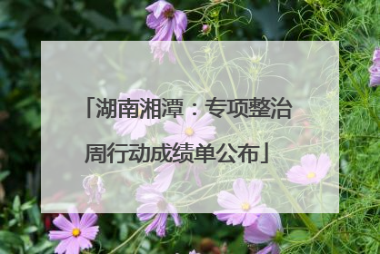 湖南湘潭：专项整治周行动成绩单公布