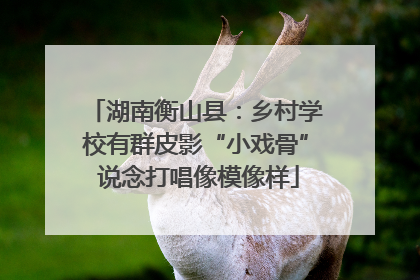 湖南衡山县：乡村学校有群皮影“小戏骨” 说念打唱像模像样