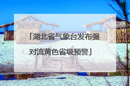 湖北省气象台发布强对流黄色省级预警