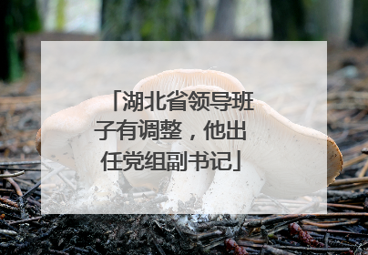 湖北省领导班子有调整，他出任党组副书记