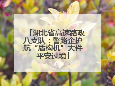 湖北省高速路政八支队：警路企护航“盾构机”大件平安过境