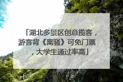 湖北多景区创意揽客，游客背《离骚》可免门票，大学生通过率高
