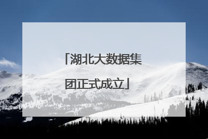 湖北大数据集团正式成立