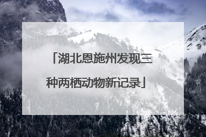湖北恩施州发现三种两栖动物新记录