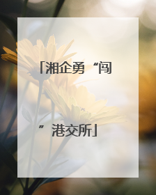 湘企勇“闯”港交所