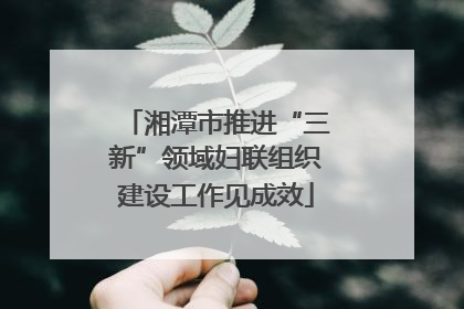 湘潭市推进“三新”领域妇联组织建设工作见成效