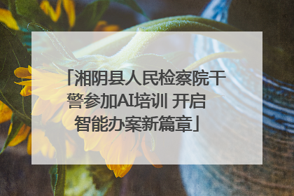 湘阴县人民检察院干警参加AI培训 开启智能办案新篇章