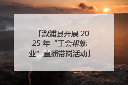 溆浦县开展 2025 年“工会帮就业”直播带岗活动