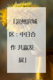 滨州滨城区：中日合作 共赢发展