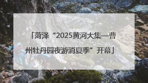 菏泽“2025黄河大集—曹州牡丹园夜游消夏季”开幕